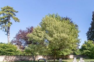 ... le parc à usage exclusif des hôtes des gîtes de la Maison des Foyers
