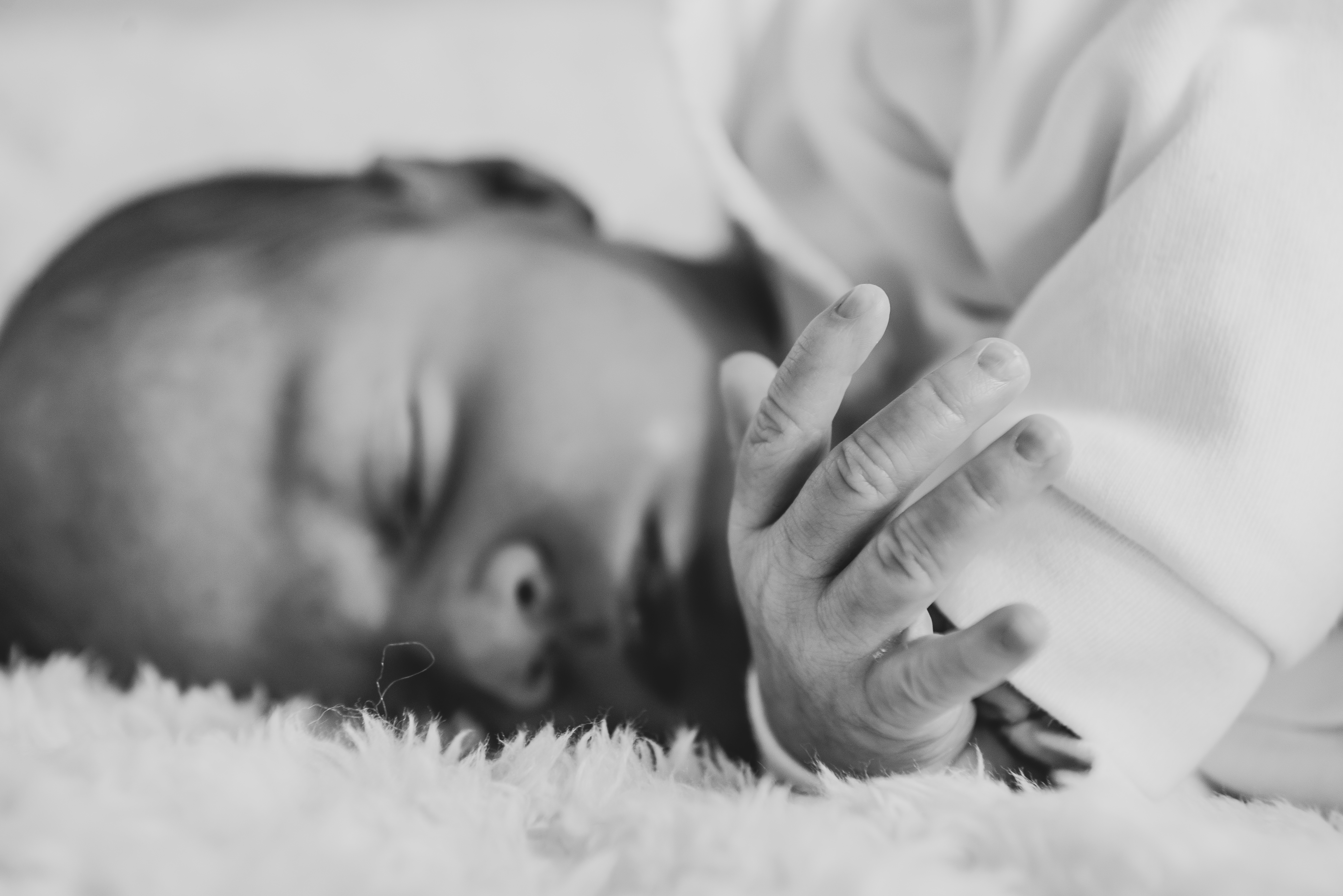 Baby fotografie