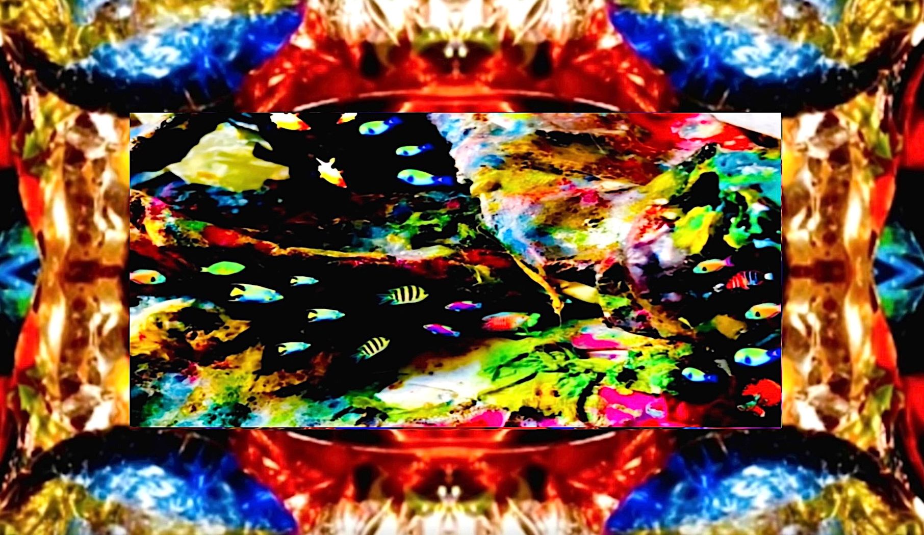 36