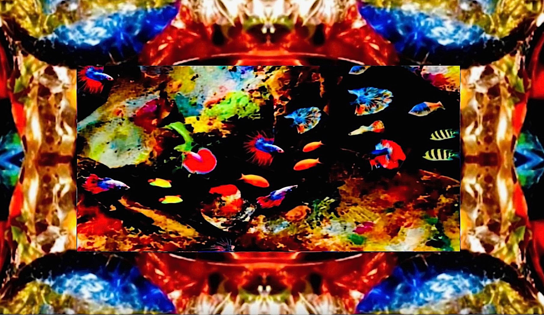 37