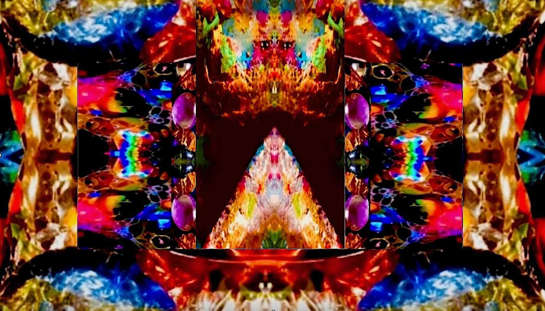 81