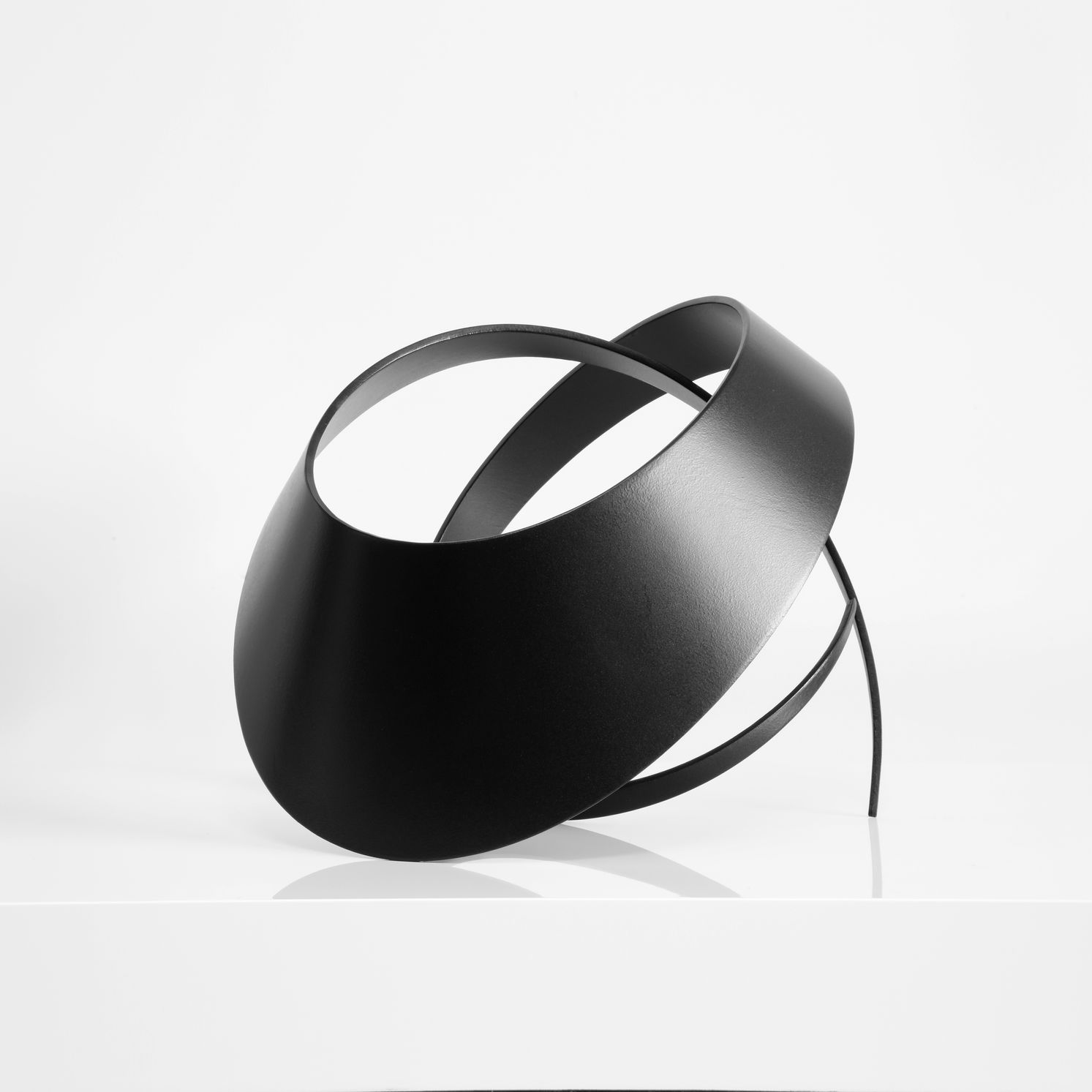 INSECTE V