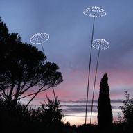 fleurs maison