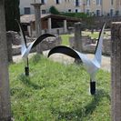 les Oiseaux