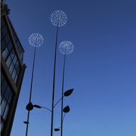 les fleurs d'artifices