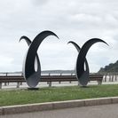 les-oiseaux-P1