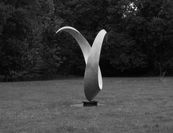 oiseaux- paris1