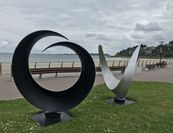 oiseaux-1