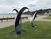 oiseaux-2
