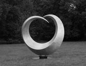 oiseaux-4