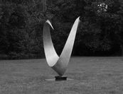 oiseaux-paris3