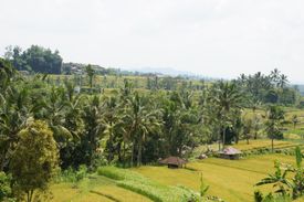 DSC00481