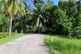 DSC_5335 (1)