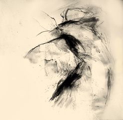 FJust_Akt_28x28_2024-08