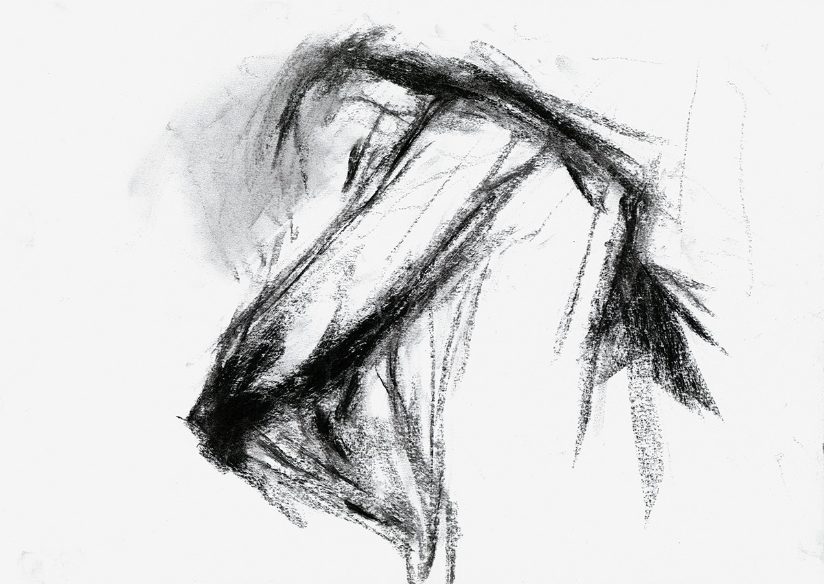Franka Just . AKT . Kohle auf Papier, 30 x 41 cm . 2019
