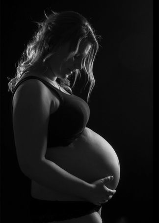 19_gravid