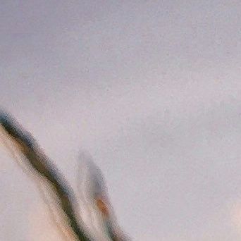 unsplash_nJ2YCCnVp6k