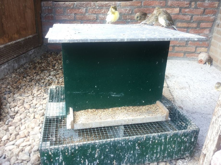 Dit is mijn voersilo. U ziet ik heb er een vloertegel overheen gelegd om te voorkomen dat de vogels hun ontlasting op het voer deponeren. Aan de achterkant en voorkant heb ik twee gaten van zo'n 10 cm lang en 2 cm hoog. Daaronder ziet u de afvalbak. Hierin wordt het overtollige zaad in opgevangen. Deze bak ledig ik elke week. Hier wordt niets meer van hergebruikt. 