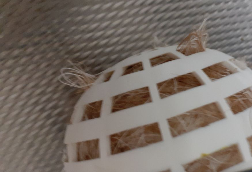 Meestal trek ik dan wat nestmateriaal door 3 of 4 verschillende gaatjes, zodat het nest wat vaster zit.  