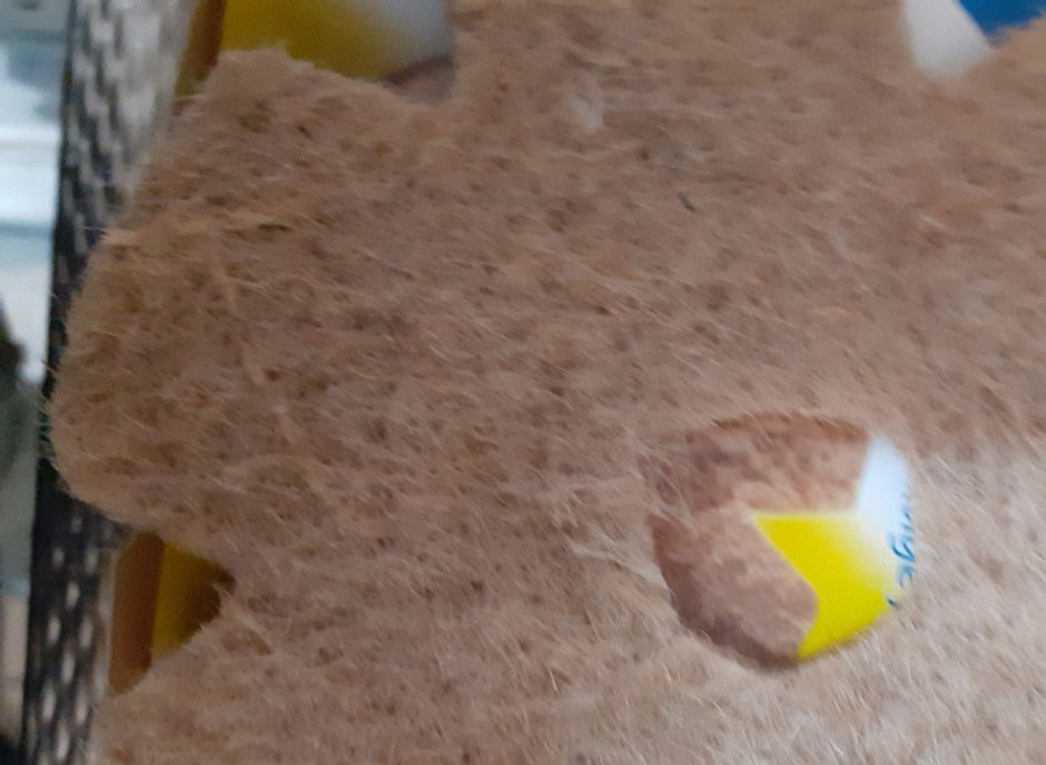 Dit nestmatje vouw ik dan dubbel en knip er een rond gat in. Deze matjes zitten behoorlijk stevig in het nestmandje en zal de vogel zeker helpen. Ook nadat de jongen zijn uitgekomen, vernieuw ik meestal na 10 dagen (bij een vol nest van 3 of 4 jongen) het zelfgemaakte nestje door een nieuw alleen volledig nestmatje. Hierdoor krijgen de jongen meer ruimte dan in het eerder zelf gemaakte nestje. Ik heb al eerder gezegd; Doe dit niet na de 10e dag. De kans is dan erg groot dat er een jong van schrik uitwipt en elke keer als je het terug zet in het nest er opnieuw weer uitwipt. Gevolg is dat het minder gevoerd wordt en de kans heel groot is dat ie het niet redt. 