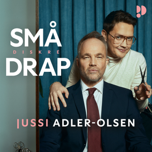 Små Diskre Drap
