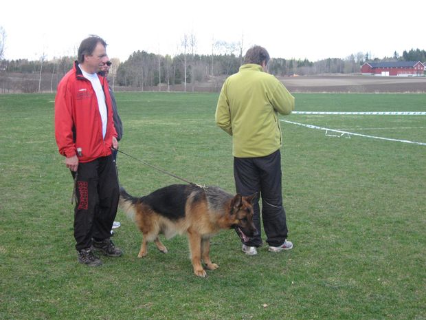 Rune og Raymond i Skiptvedt