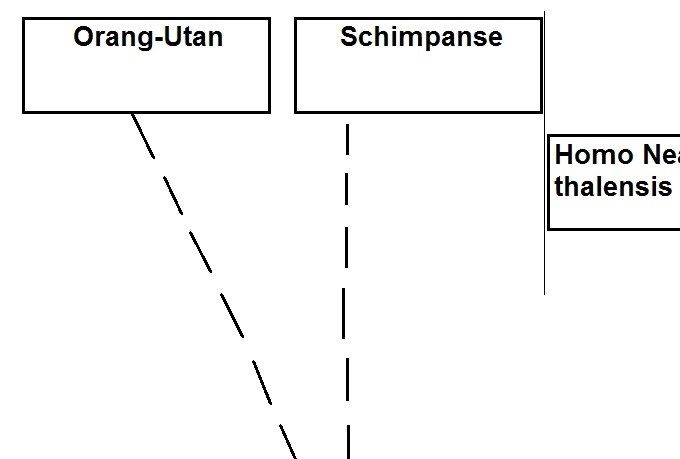 Einordnung des Homo Sapiens in die gesamte Evolutionsstruktur 
(aus «Histoprolog») 
