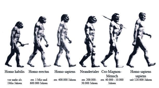 Und die Vorstellung über die optische Entwicklung des Homo`s zum Homo Sapiens Sapiens zu uns 