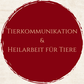 Website Neu (10)
