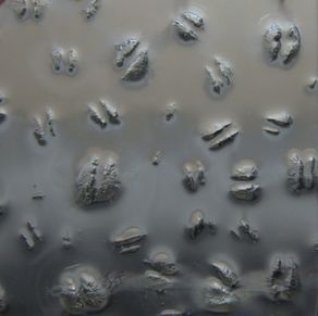 IMG_0860_01