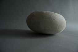 IMG_1536_01