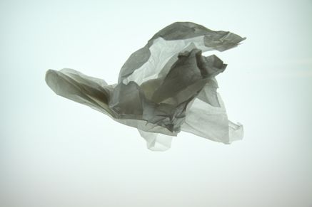 IMG_9478_01