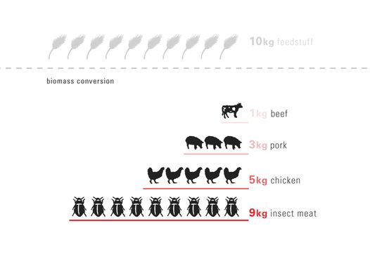 biomass conversionNEW