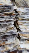 Upcycling Papier - wir schöpfen aus dem Vollen