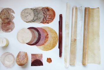 kombucha tests