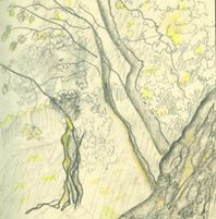 magic woods sketch