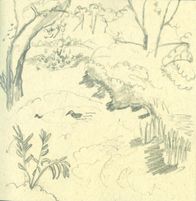 qwalk sketch