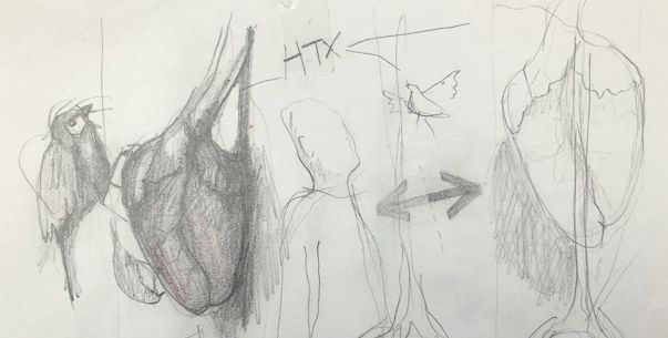 htx