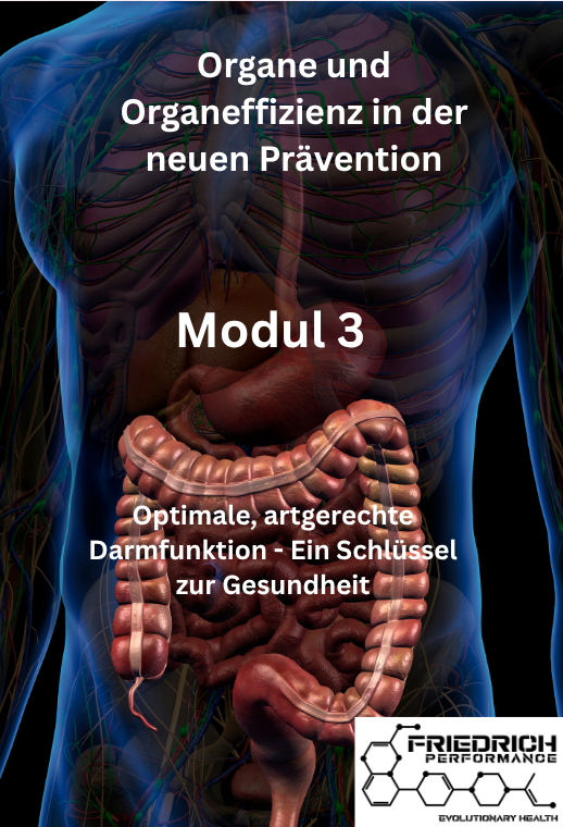 Modul 3