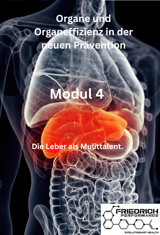 Modul 4