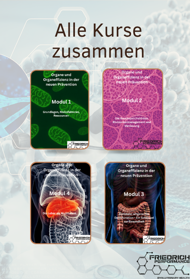 Bundle Alle Module (und das Follow up)