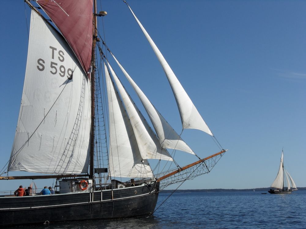 Båt41