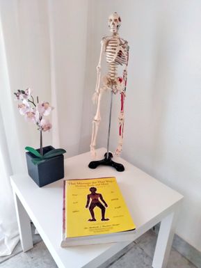 Hugo og bøger