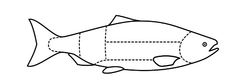 Fiskerenseplads