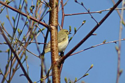 IMG_1687