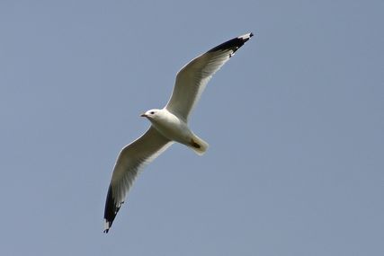 IMG_1824