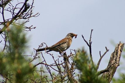 IMG_1844
