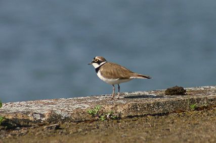 IMG_1927