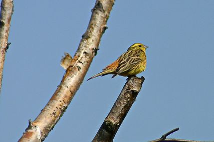 IMG_2111
