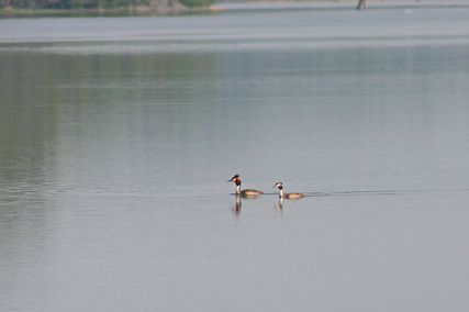 IMG_2250